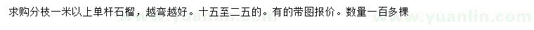 求購15-25公分石榴樹
