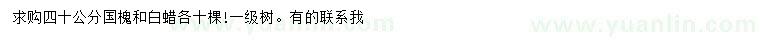 求購40公分國槐、白蠟
