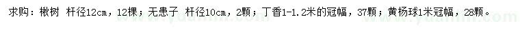 求購楸樹、無患子、丁香等