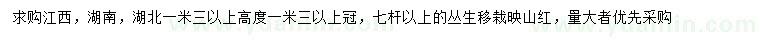 求購高1.3米以上叢生映山紅