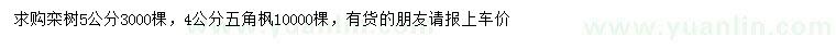 求購5公分欒樹、4公分五角楓
