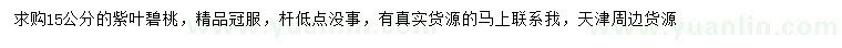 求購15公分紫葉碧桃