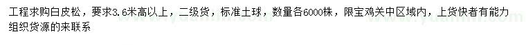 求購高3.6米以上白皮松
