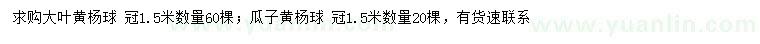 求購(gòu)冠幅1.5米大葉黃楊球、瓜子黃楊球