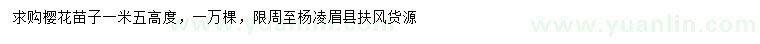 求購高1.5米櫻花