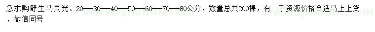 求購20-30-40-50-60-70-80公分馬靈光