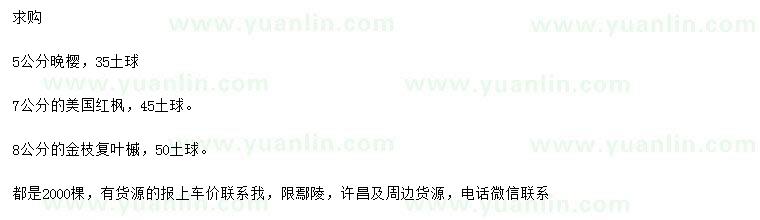 求購(gòu)?fù)頇?、美?guó)紅楓、金枝復(fù)葉槭