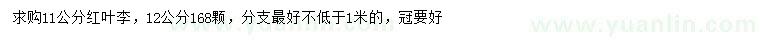 求購11、12公分紅葉李