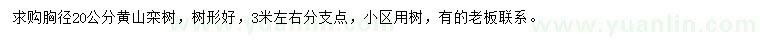 求購胸徑20公分黃山欒樹