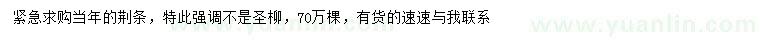 求購當年生荊條