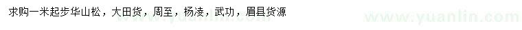 求購(gòu)1米以上華山松