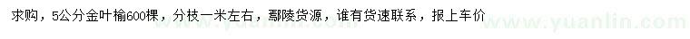 求購(gòu)5公分金葉榆