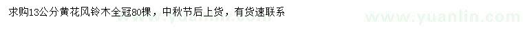 求購(gòu)13公分黃花風(fēng)鈴木