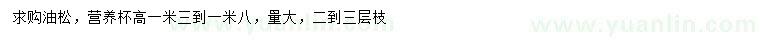 求購(gòu)高1.3-1.8米油松