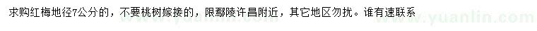 求購地徑7公分紅梅