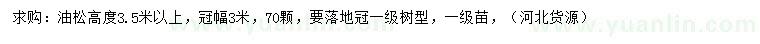 求購高3.5米以上油松