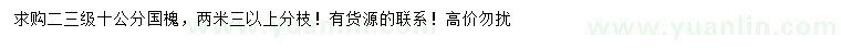 求購10公分國槐