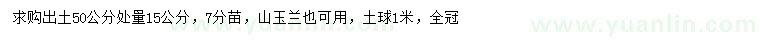 求購50量15公分山玉蘭