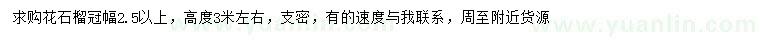 求購高3米左右花石榴