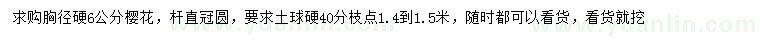 求購胸徑6公分櫻花