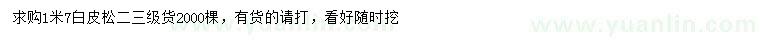 求購1.7米白皮松