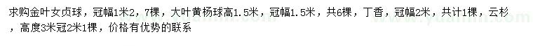 求購金葉女貞球、大葉黃楊球、丁香等