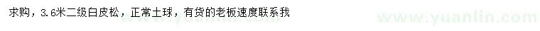 求購3.6米白皮松