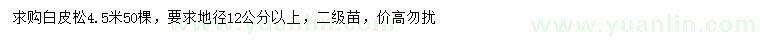 求購4.5米白皮松