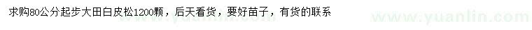 求購80公分以上白皮松