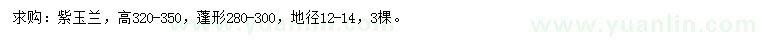 求購高320-350公分紫玉蘭
