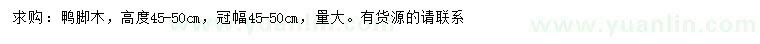 求購高45-50公分鴨腳木