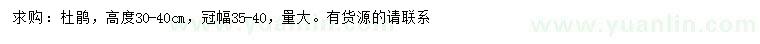 求購高30-40公分杜鵑