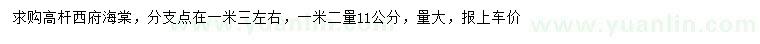 求購1.2米量11公分高桿西府海棠