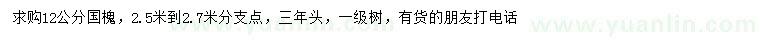 求購12公分國槐