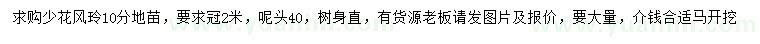 求購10公分少花風(fēng)鈴木