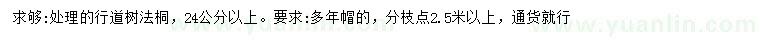 求購24公分以上法桐