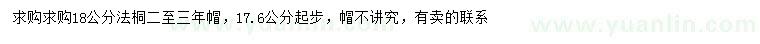 求購17.6公分以上法桐