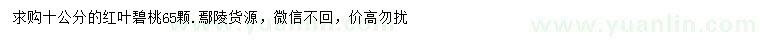求購10公分紅葉碧桃