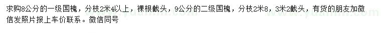 求購8、9公分國槐