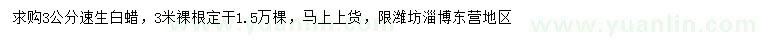 求購3公分速生白蠟