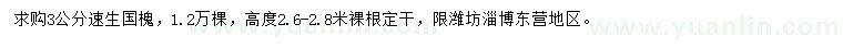 求購(gòu)3公分速生國(guó)槐