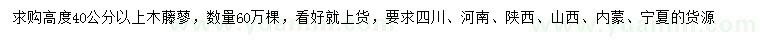 求購(gòu)高40公分以上木藤蓼