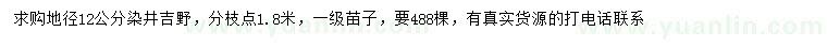 求購地徑12公分染井吉野櫻