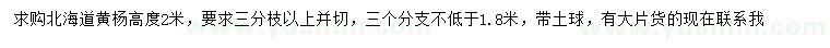 求購(gòu)高2米北海道黃楊