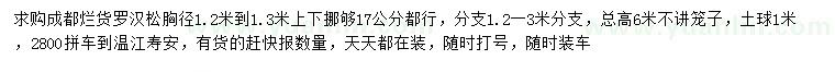 求購胸徑1.2-1.3米羅漢松