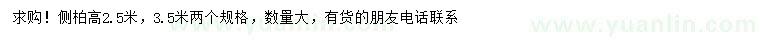求購高2.5、3.5米側(cè)柏