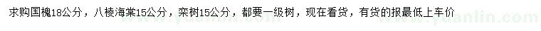 求購國槐、八棱海棠、欒樹