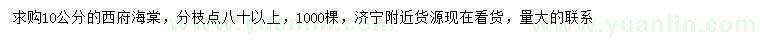 求購10公分西府海棠