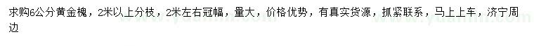 求購(gòu)6公分黃金槐