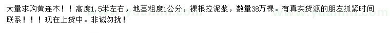 求購(gòu)高1.5米左右黃連木